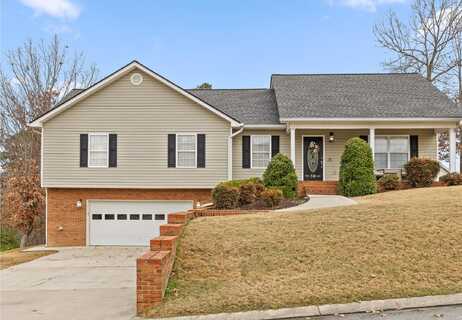 243 Stanford Drive, Flintstone, GA 30725