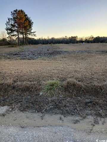 3452 Rosario Pl., Loris, SC 29569