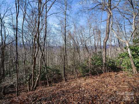 Queens Way lot: #7, Spruce Pine, NC 28777