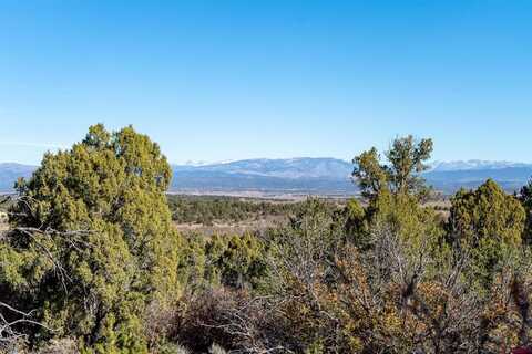 61 Summer View Lane, Ignacio, CO 81137