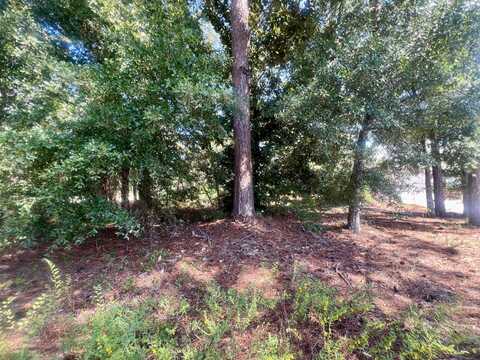 Tbd Buck Road, Santa Rosa Beach, FL 32459