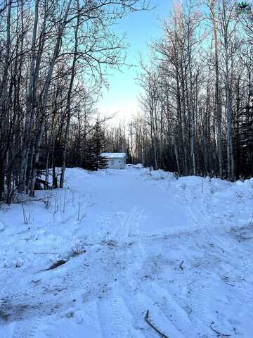 5444 NOME TRAIL ROAD, Delta Junction, AK 99737