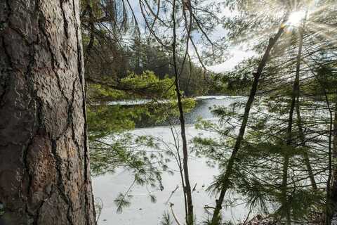 Lot 4 DAM RD, Three Lakes, WI 54562