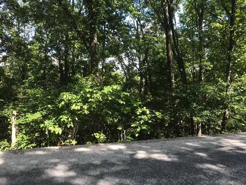 Lot 227 Syler Circle, Hollister, MO 65672