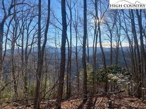 223 Rubin Walker Road, Vilas, NC 28692