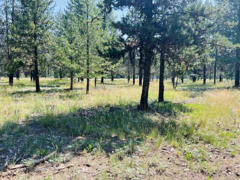 Lot 6 Coy Road, McCall, ID 83638