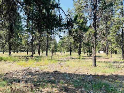 Lot 4 Chad Drive, McCall, ID 83638