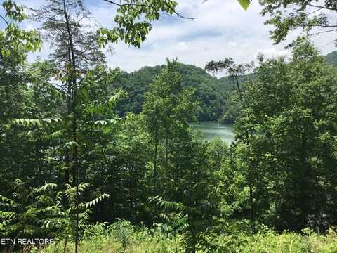 Lot 880 Fellowship Lane, New Tazewell, TN 37825