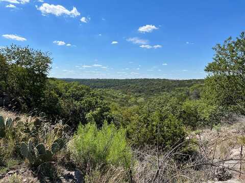 125 Deer Haven, Hunt, TX 78024