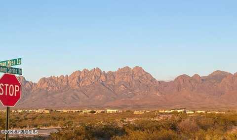 7829 Waterfall Cyn Lane, Las Cruces, NM 88011