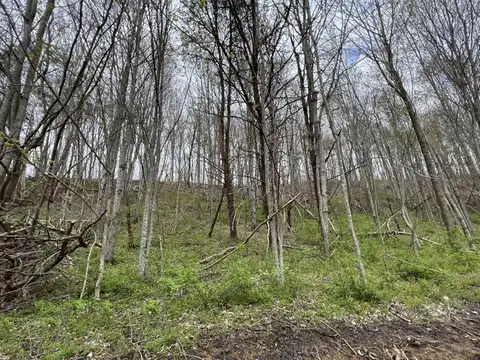Laredo Drive lot: #20, London, KY 40741