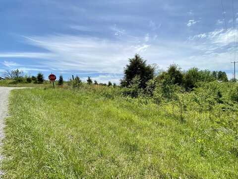 0 Boyds Knob Road, Munfordville, KY 42765