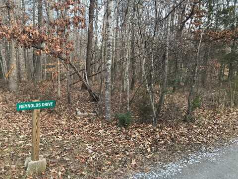 0-Lot 94 Reynolds Drive, Rustburg, VA 24588