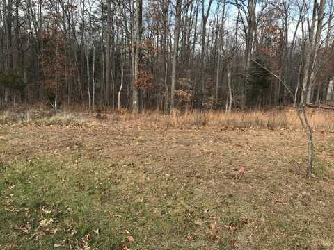 0-Lot 94 Reynolds Drive, Rustburg, VA 24588