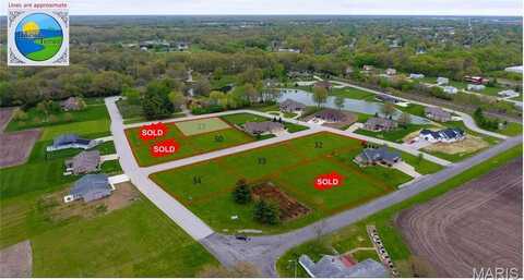 995 Alicia Way, Staunton, IL 62088