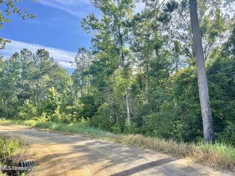 2 Acres Ferrell Lane, Leakesville, MS 39451