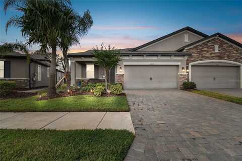 19315 HAWK VALLEY DRIVE, TAMPA, FL 33647