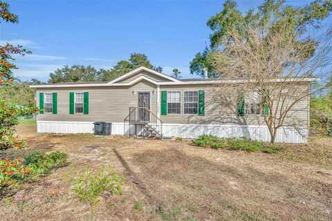 11005 SE 165TH TERRACE ROAD, OCKLAWAHA, FL 32179