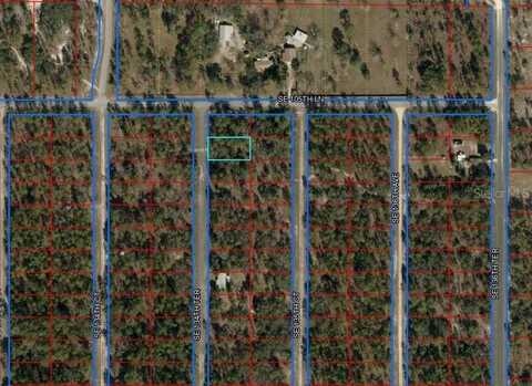 SE 134TH TER, DUNNELLON, FL 34431