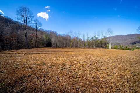 00 Santeetlah Heights, ROBBINSVILLE, NC 28771