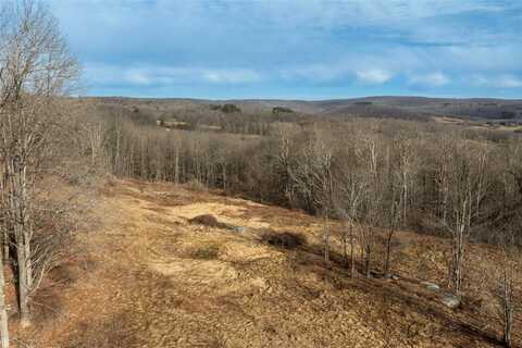 Tbd Yaun Road, Livingston Manor, NY 12758