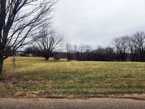 Lot 1544 Lake Wildwood Drive, Varna, IL 61375