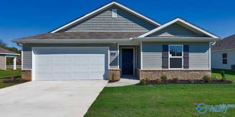 15358 Bees Street, Harvest, AL 35749