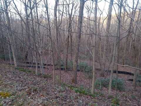 Lt 163 Trailwood Drive, Ellijay, GA 30536
