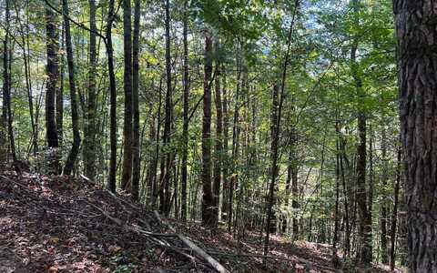 5 Acres Conasauga Drive, Ellijay, GA 30540
