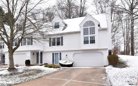 10482 White Ash Trail, Twinsburg, OH 44087