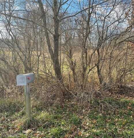 3704 Williams Court, Avon, OH 44011