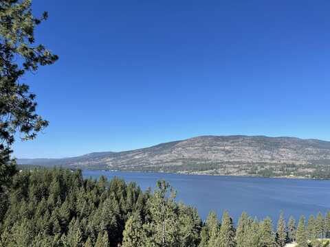 16XX PINGSTON CREEK RD, KETTLE FALLS, WA 99141