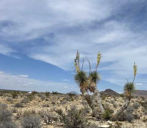 G79 S Bad Bunny Rd., Terlingua, TX 79852