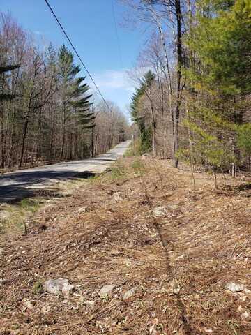 311 Stewart Landing Rd, Stratford, NY 13470