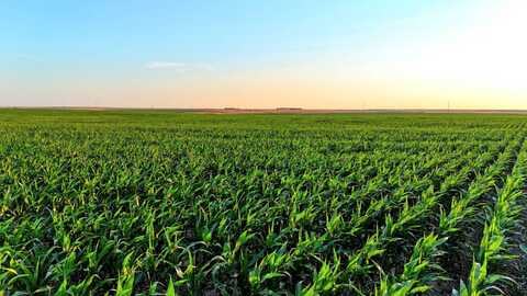 TBD 300th Ave, Nekoma, KS 67559