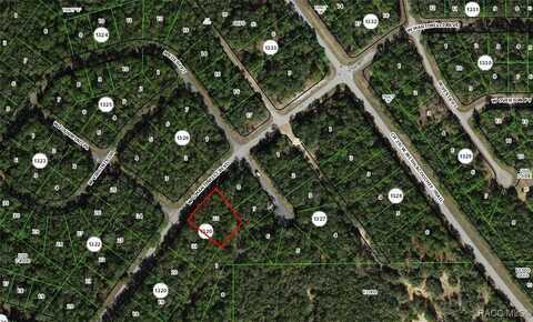 532 W G Martinelli Boulevard, Citrus Springs, FL 34434