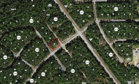 11074 N Edith Point, Citrus Springs, FL 34434