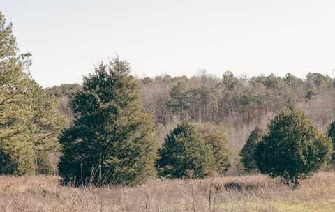 0 Rhea County Highway, Dayton, TN 37321