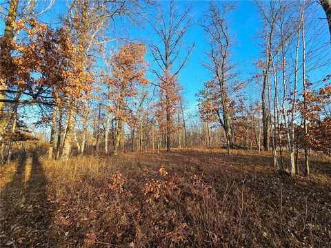 L6b4 Settler Trail, Center Twp, MN 56465