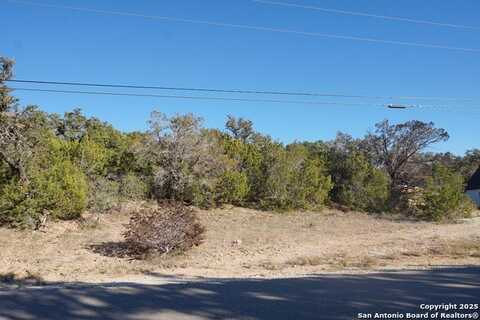 469 PERSIMMON PASS, Fischer, TX 78623