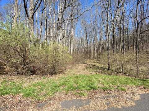 Tbd Carterville Heights Road, Max Meadows, VA 24360