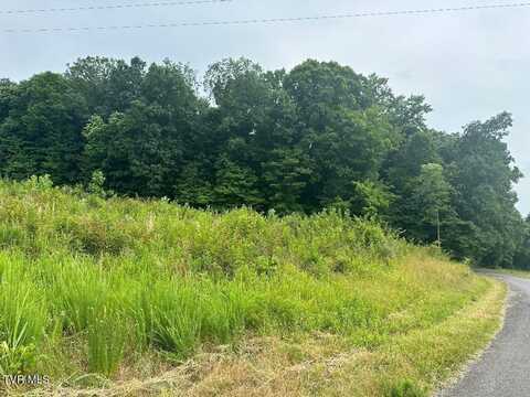 Tbd Flora Road, Rogersville, TN 37857