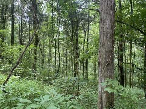 Lot 34 Eagle Ridge, GRANVILLE, TN 38564