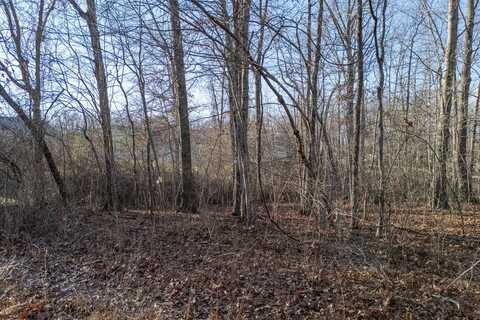 Lot 1736 Satsuma Dr, CROSSVILLE, TN 38555