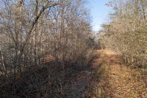 Lot 1735 Satsuma Dr, CROSSVILLE, TN 38555