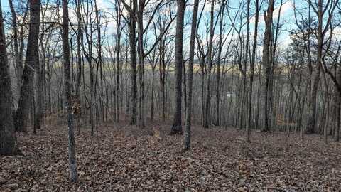 0 Candies Creek Ridge Road, Cleveland, TN 37311