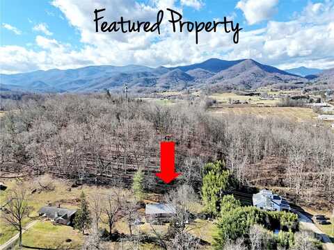 22 Penny Lane, Canton, NC 28716