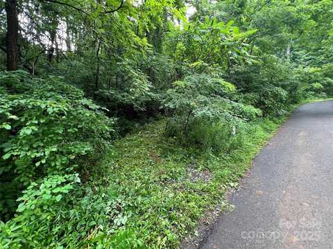 Turn-A-Bout Court lot: 58, Waynesville, NC 28785
