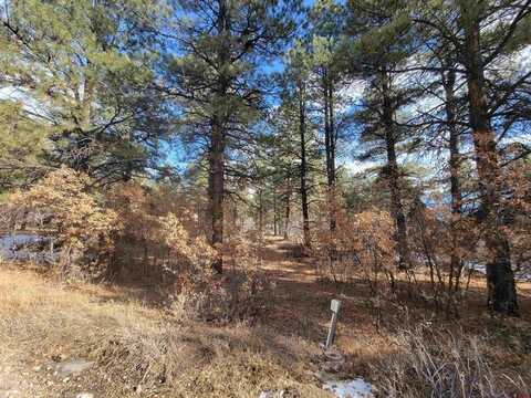 48 Twincreek Circle, Pagosa Springs, CO 81147