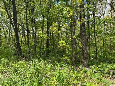0 Burnt Mountain Cove Road, Jasper, GA 30143